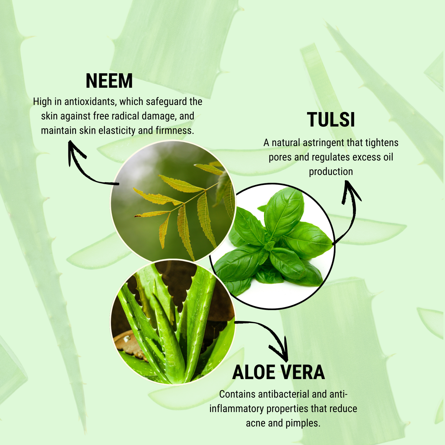 Fuschia Anti Acne Face Gel | Neem & Basil